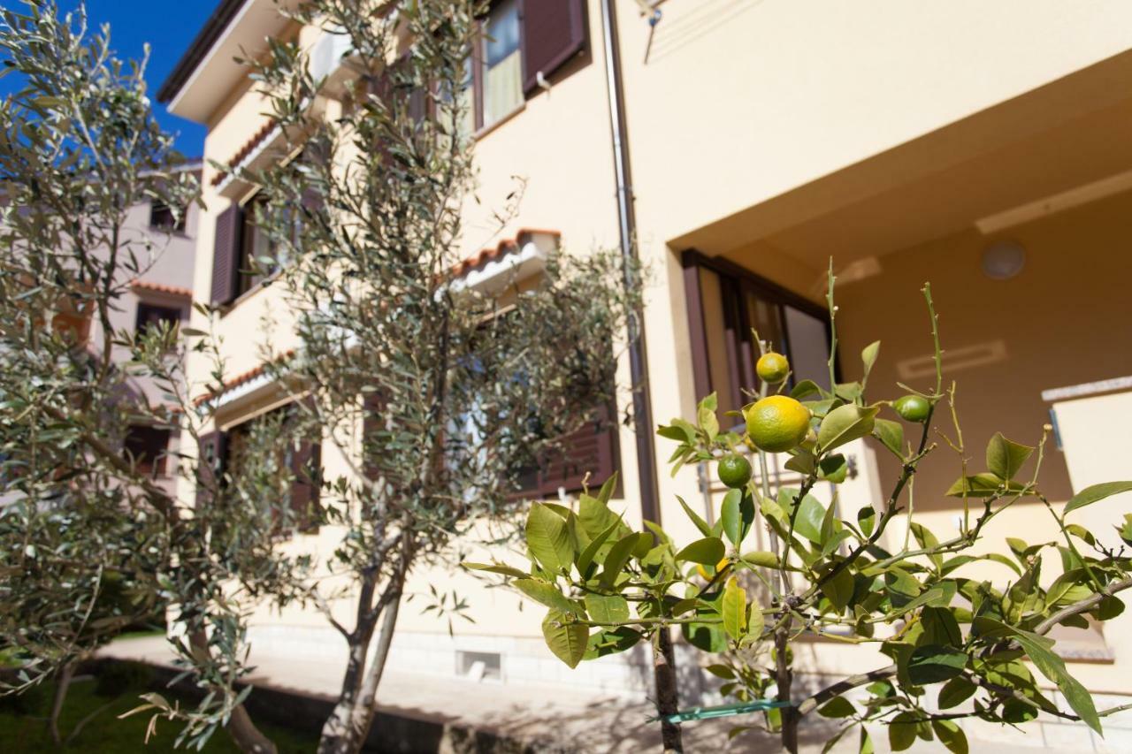 Apartman Sintic كرك المظهر الخارجي الصورة